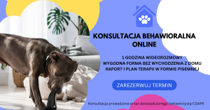Konsultacja behawioralna online