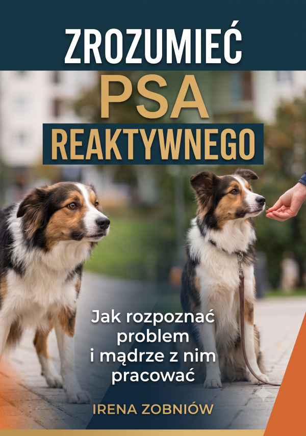 Zrozumieć psa reaktywnego. Jak rozpoznać problem i mądrze z nim pracować